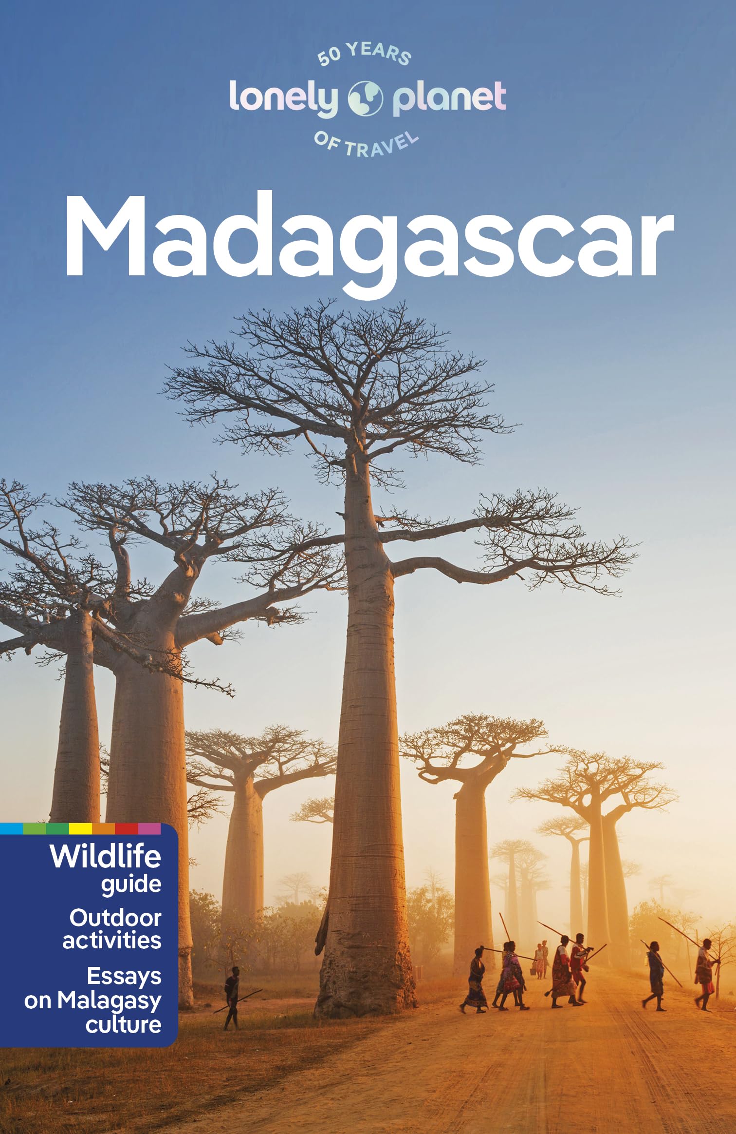 מדריך מדגסקר  לונלי פלנט 10